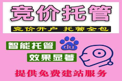 精准营销的背后：sem代运营机构的成功故事